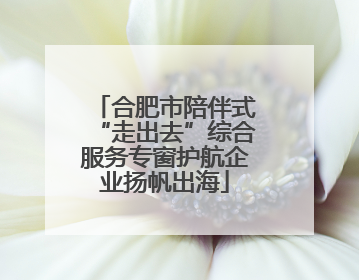 合肥市陪伴式“走出去”综合服务专窗护航企业扬帆出海
