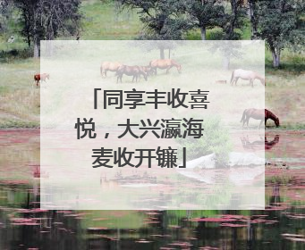 同享丰收喜悦，大兴瀛海麦收开镰