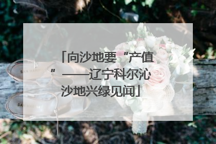 向沙地要“产值”——辽宁科尔沁沙地兴绿见闻