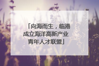 向海而生，临港成立海洋高新产业青年人才联盟