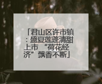 君山区许市镇：盛夏莲蓬清甜上市 “荷花经济”飘香不断