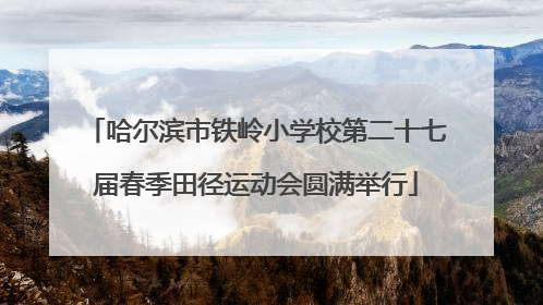 哈尔滨市铁岭小学校第二十七届春季田径运动会圆满举行