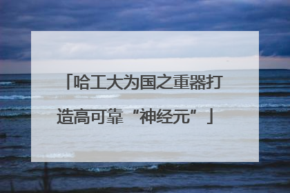 哈工大为国之重器打造高可靠“神经元”