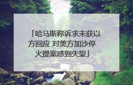 哈马斯称诉求未获以方回应 对美方加沙停火提案感到失望