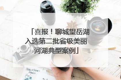 喜报！聊城望岳湖入选第二批省级美丽河湖典型案例