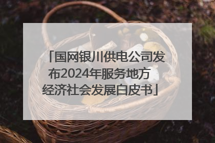国网银川供电公司发布2024年服务地方经济社会发展白皮书