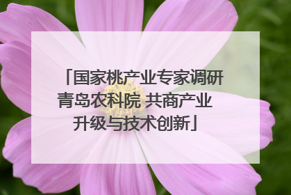 国家桃产业专家调研青岛农科院 共商产业升级与技术创新
