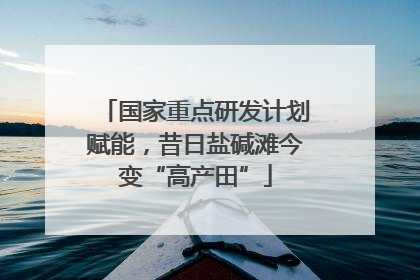 国家重点研发计划赋能，昔日盐碱滩今变“高产田”