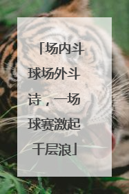 场内斗球场外斗诗，一场球赛激起千层浪