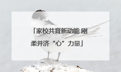 家校共育新动能 刚柔并济“心”力量