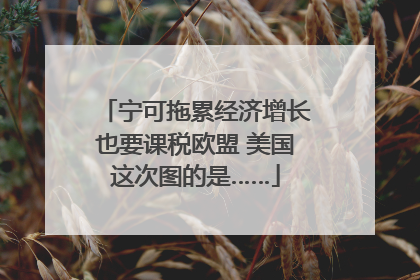 宁可拖累经济增长也要课税欧盟 美国这次图的是……