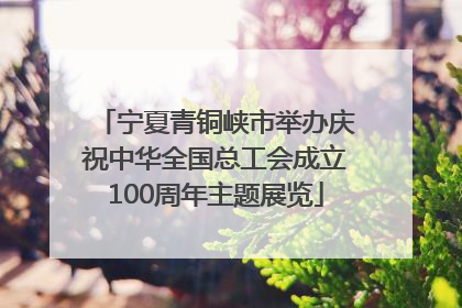 宁夏青铜峡市举办庆祝中华全国总工会成立100周年主题展览