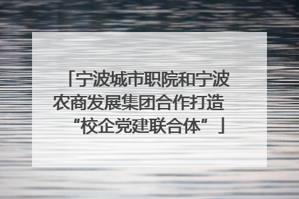 宁波城市职院和宁波农商发展集团合作打造“校企党建联合体”