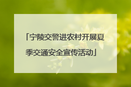 宁陵交警进农村开展夏季交通安全宣传活动