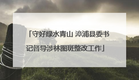 守好绿水青山 漳浦县委书记督导涉林图斑整改工作