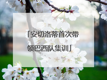 安切洛蒂首次带领巴西队集训