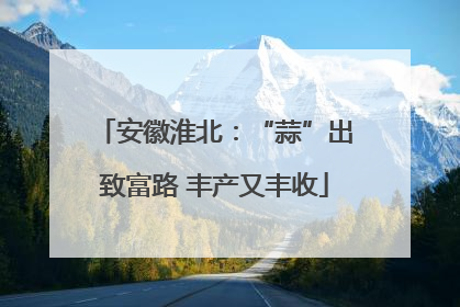 安徽淮北：“蒜”出致富路 丰产又丰收