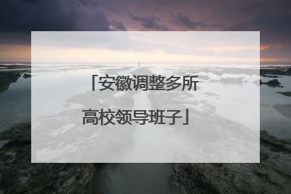 安徽调整多所高校领导班子