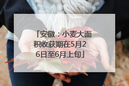 安徽：小麦大面积收获期在5月26日至6月上旬