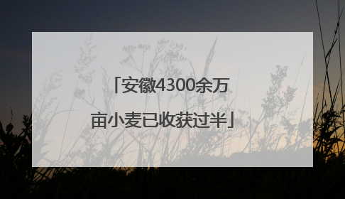 安徽4300余万亩小麦已收获过半