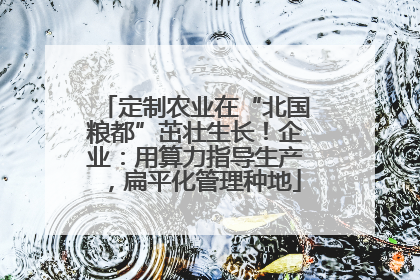 定制农业在“北国粮都”茁壮生长！企业：用算力指导生产，扁平化管理种地