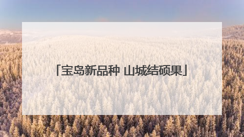 宝岛新品种 山城结硕果