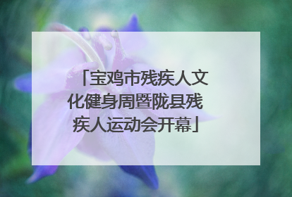 宝鸡市残疾人文化健身周暨陇县残疾人运动会开幕