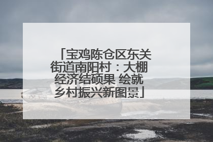 宝鸡陈仓区东关街道南阳村：大棚经济结硕果 绘就乡村振兴新图景