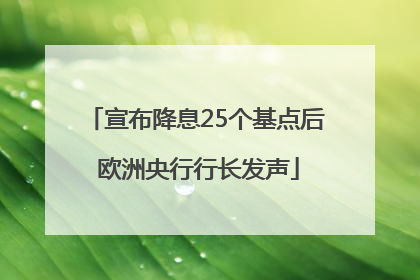 宣布降息25个基点后 欧洲央行行长发声
