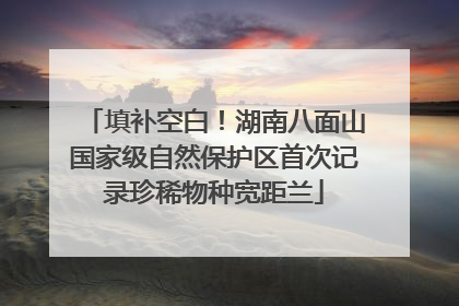 填补空白！湖南八面山国家级自然保护区首次记录珍稀物种宽距兰