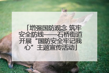 增强国防观念 筑牢安全防线——石桥街道开展“国防安全牢记我心”主题宣传活动
