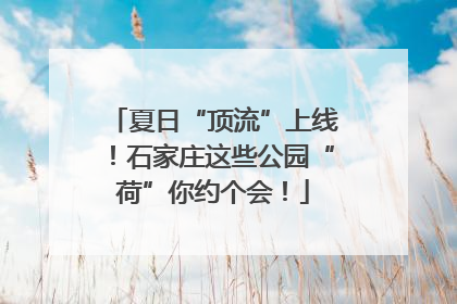 夏日“顶流”上线！石家庄这些公园“荷”你约个会！