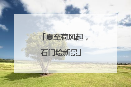 夏至荷风起，石门绘新景