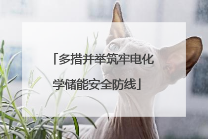 多措并举筑牢电化学储能安全防线