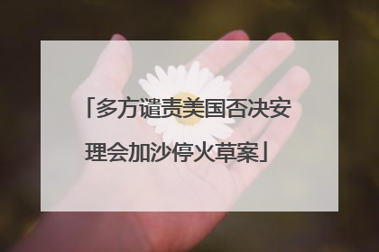 多方谴责美国否决安理会加沙停火草案