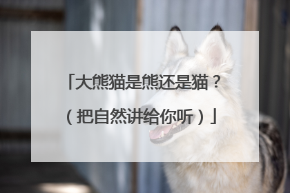 大熊猫是熊还是猫？（把自然讲给你听）