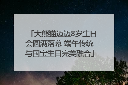 大熊猫迈迈8岁生日会圆满落幕 端午传统与国宝生日完美融合