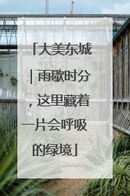 大美东城｜雨歇时分，这里藏着一片会呼吸的绿境