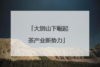 大别山下崛起茶产业新势力