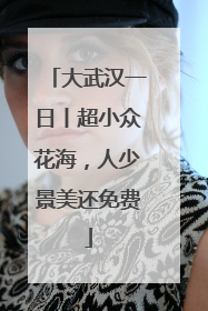 大武汉一日丨超小众花海，人少景美还免费