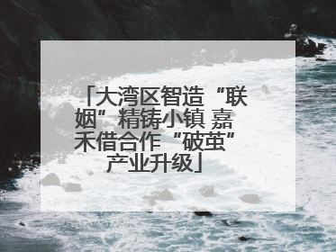 大湾区智造“联姻”精铸小镇 嘉禾借合作“破茧”产业升级