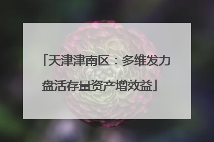 天津津南区：多维发力盘活存量资产增效益