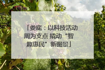 娄底：以科技活动周为支点 撬动“智趣惠民”新图景