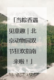 当粽香遇见童趣｜北京动物园双节狂欢指南来啦！