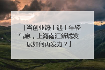 当创业热土遇上年轻气息，上海南汇新城发展如何再发力？