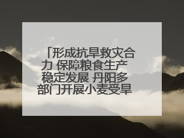 形成抗旱救灾合力 保障粮食生产稳定发展 丹阳多部门开展小麦受旱情况调研