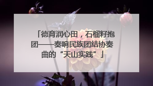 德育润心田，石榴籽抱团——奏响民族团结协奏曲的“天山实践”