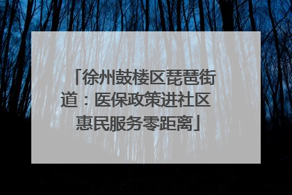 徐州鼓楼区琵琶街道：医保政策进社区 惠民服务零距离