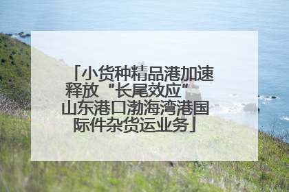 小货种精品港加速释放“长尾效应” 山东港口渤海湾港国际件杂货运业务