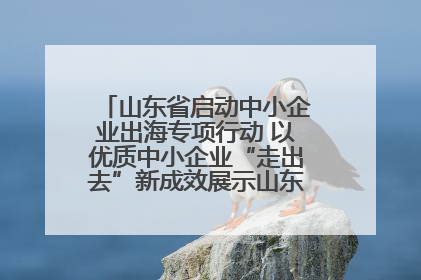 山东省启动中小企业出海专项行动 以优质中小企业“走出去”新成效展示山东产业发展新形象